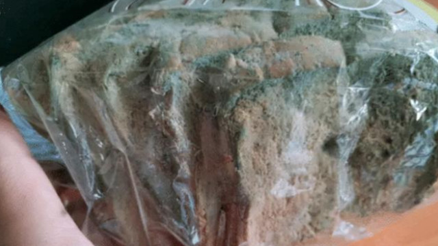 麦芽|老妈买了巧克力面包也不告诉我，吃了一半后，感觉有点上头啊！