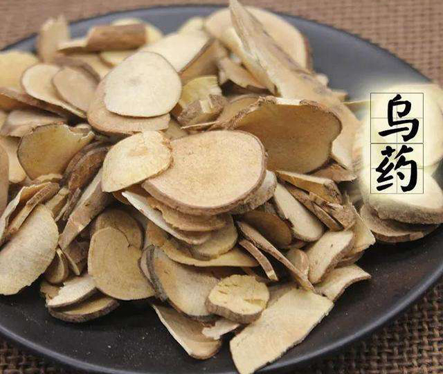 走近中药: 认识一下台乌药, 它还有哪些功用特点?