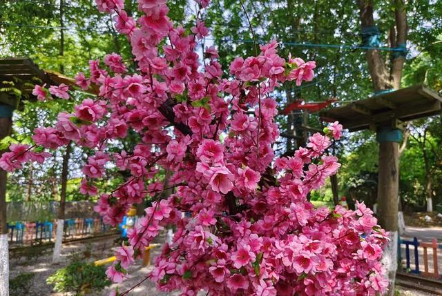 iqoo10|相差200元，真我GT2大师探索版和IQOO10相比，哪一款更值得推荐？