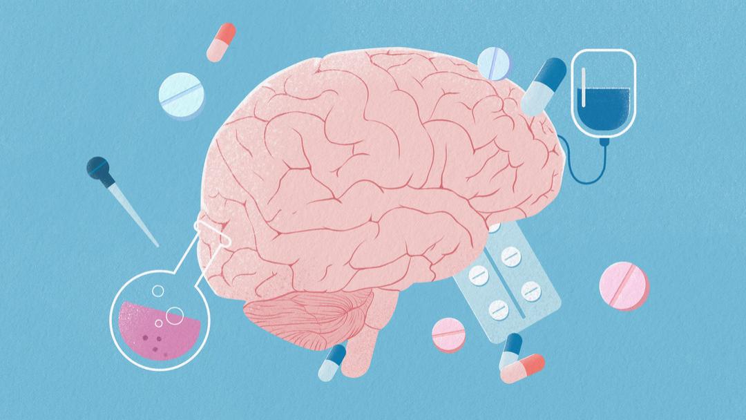 健脾|重视脑部健康，关爱人体的“指挥官”