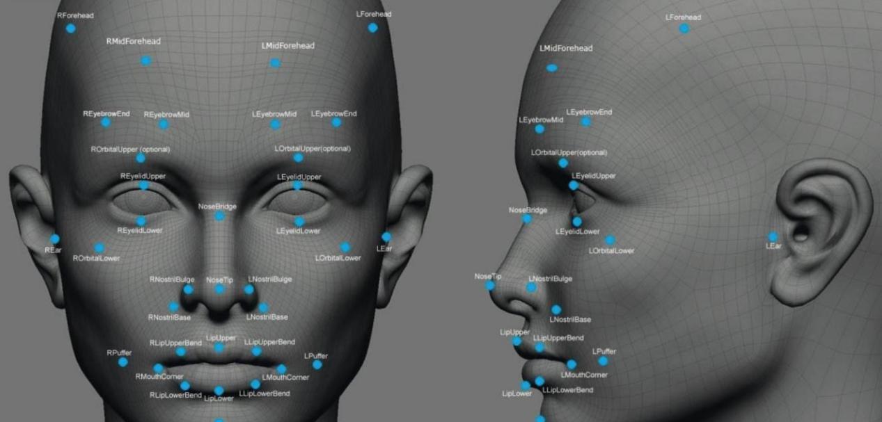 显示器|AI发展的程度有多变态?给猪进行脸部扫描,就能知道它开不开心