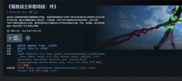 摄像机|再见了,所有新福音战士