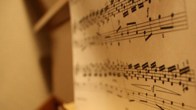 |主播缺口最大但成长也快，流量投放和能够操盘的运营人才稀缺