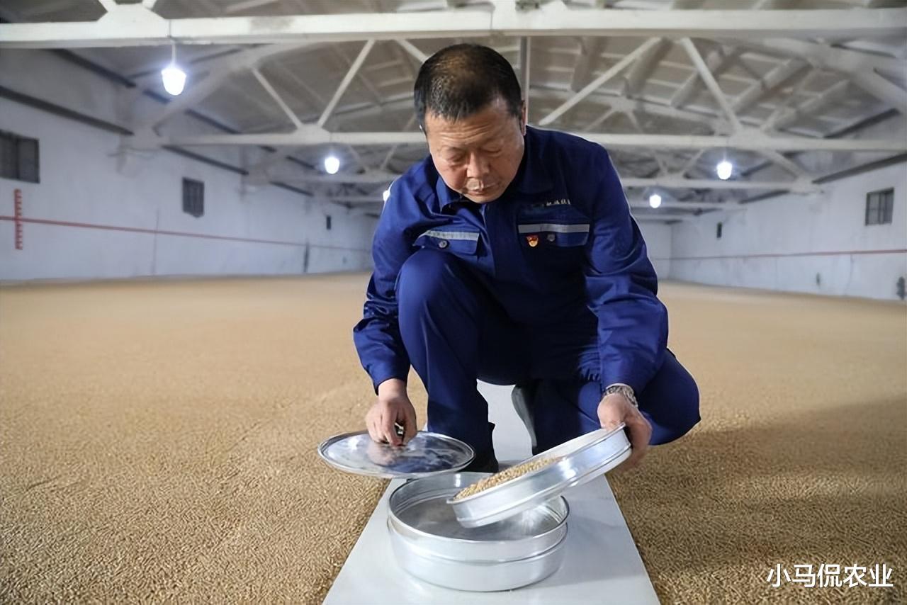 显示器|智能“机器人”1个顶3自动巡航值班,深入粮仓内部拯救谷物,啥样