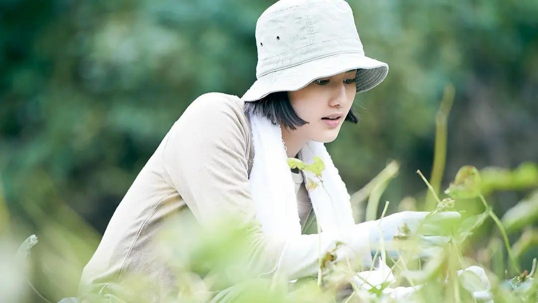 春晚|日本绝美电影：城里人向往的生活！看完你估计都想回家种菜了
