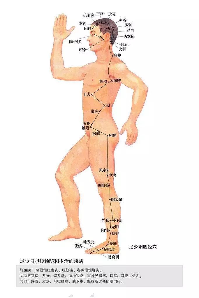 胆经一通, 百病去无踪: 一穴通肝胆, 身体5大问题全解决