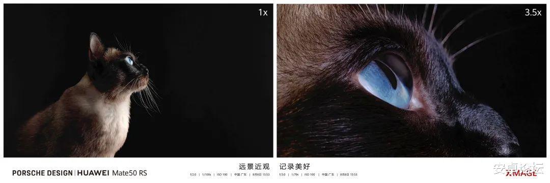 华为mate|憋了两年，华为Mate 50 系列终于爆发了