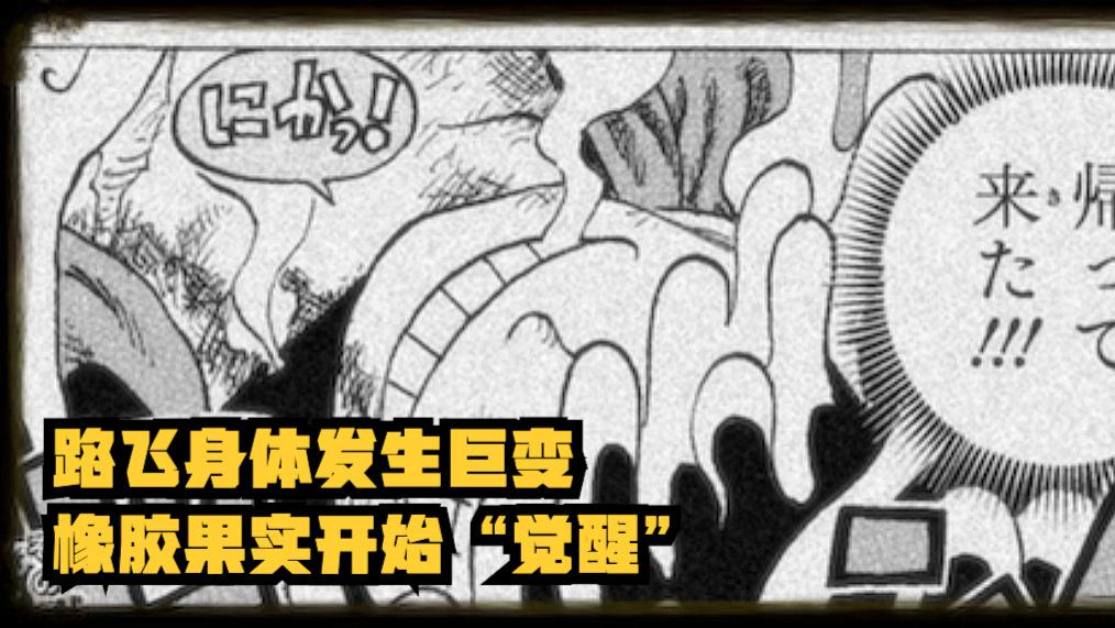 路飞|海贼王1043话分析，战力被尾田拉回正轨，路飞靠“觉醒”战胜凯多