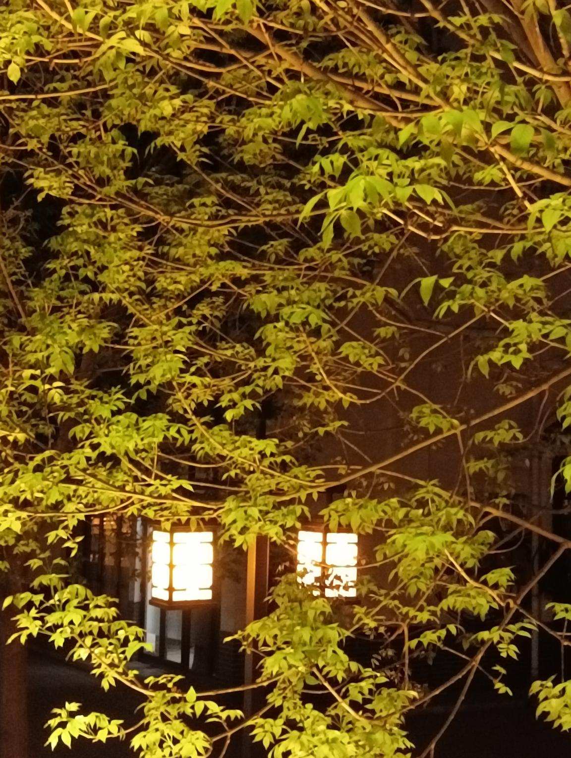 硬盘|红米Note 11最大竞争对手!荣耀Play 6T Pro解决千元机内存焦虑