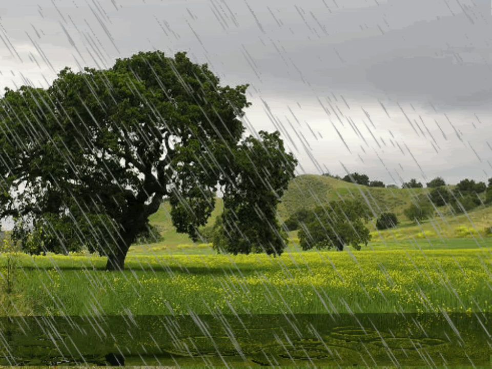 温柔的音乐纯睡眠，静静入睡舒缓音乐，下雨声让你心情轻松