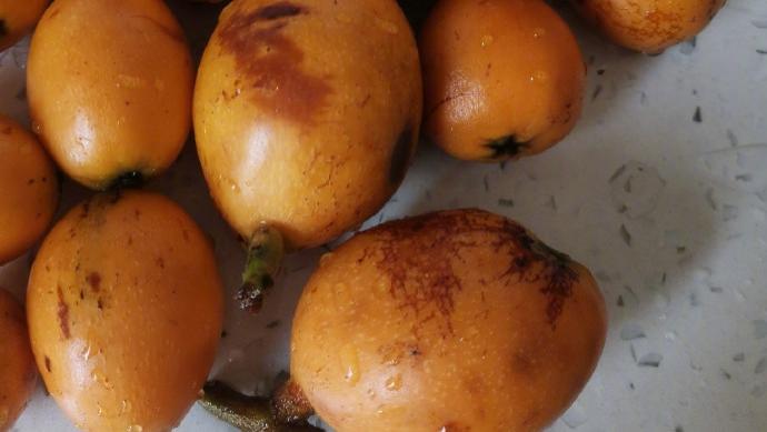 枇杷|希望大家都吃过好吃的枇杷