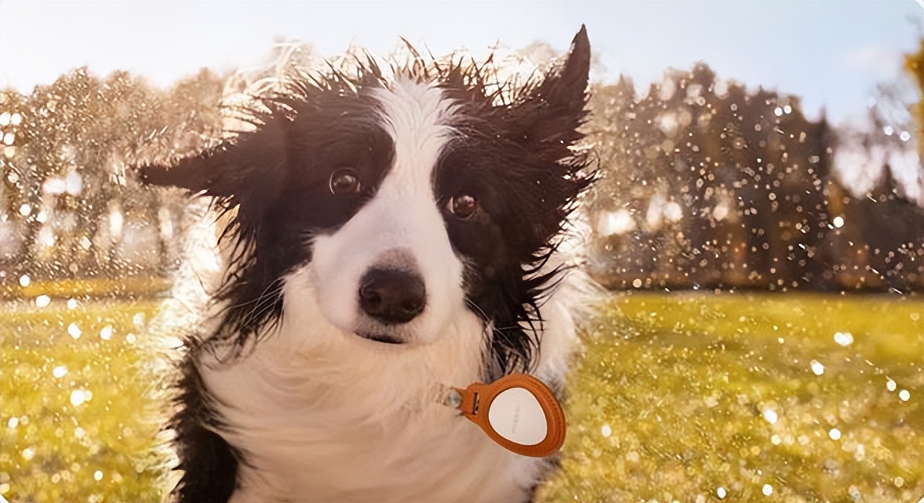 华为|华为不仅手机强，这3种数码产品也很“亮眼”，性价比高还特实用