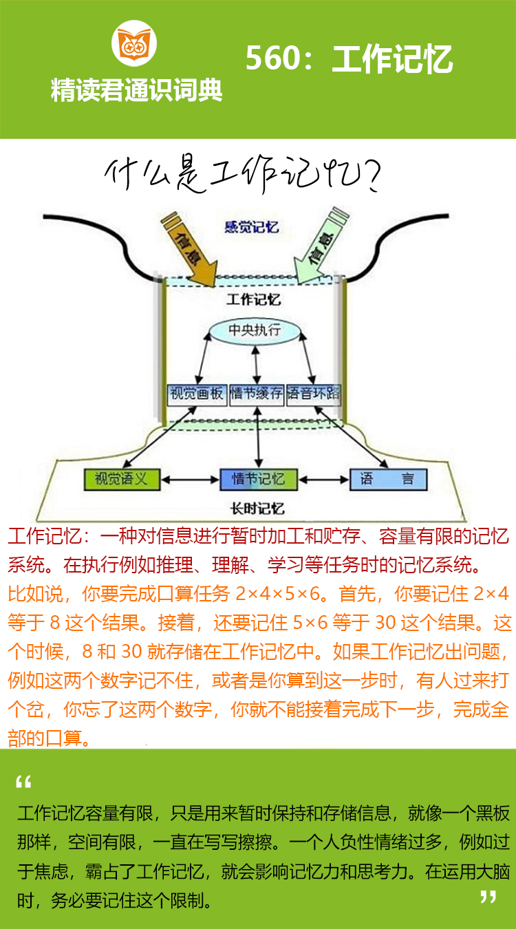 《最强大脑》的舞台，曾有个姑娘
