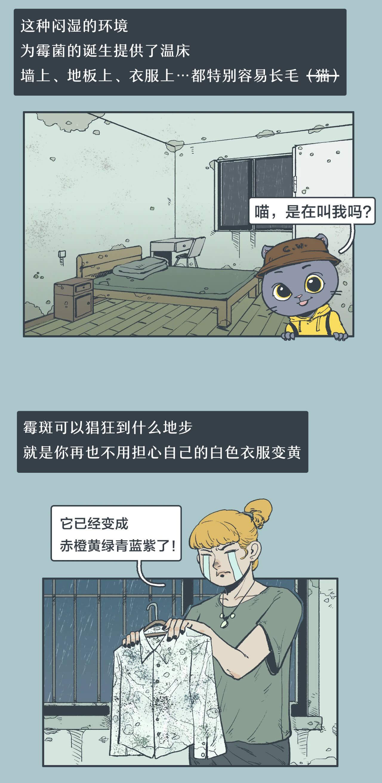 |经历“梅雨天”的南方人有多惨？???（漫画）