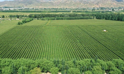 |土地测量再不用老方法了，只要是智能手机都能搞定！