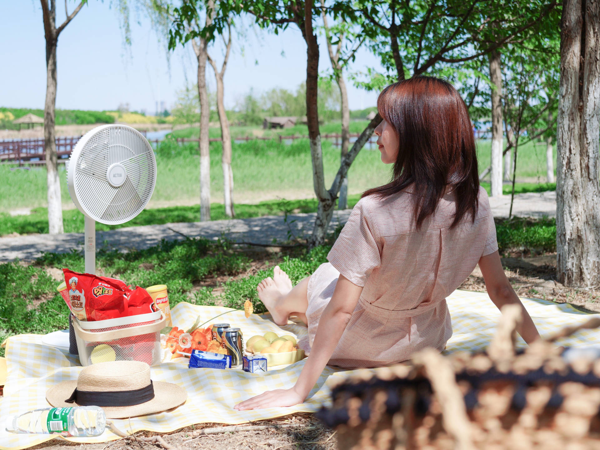 空气净化器|理性剁手！当初“滴血购入”的6件网红小家电，现在看来超值！