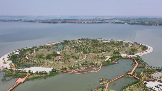 海边|上海最大的湖泊，是杭州西湖的9.7倍，被认为是黄浦江的源头之一