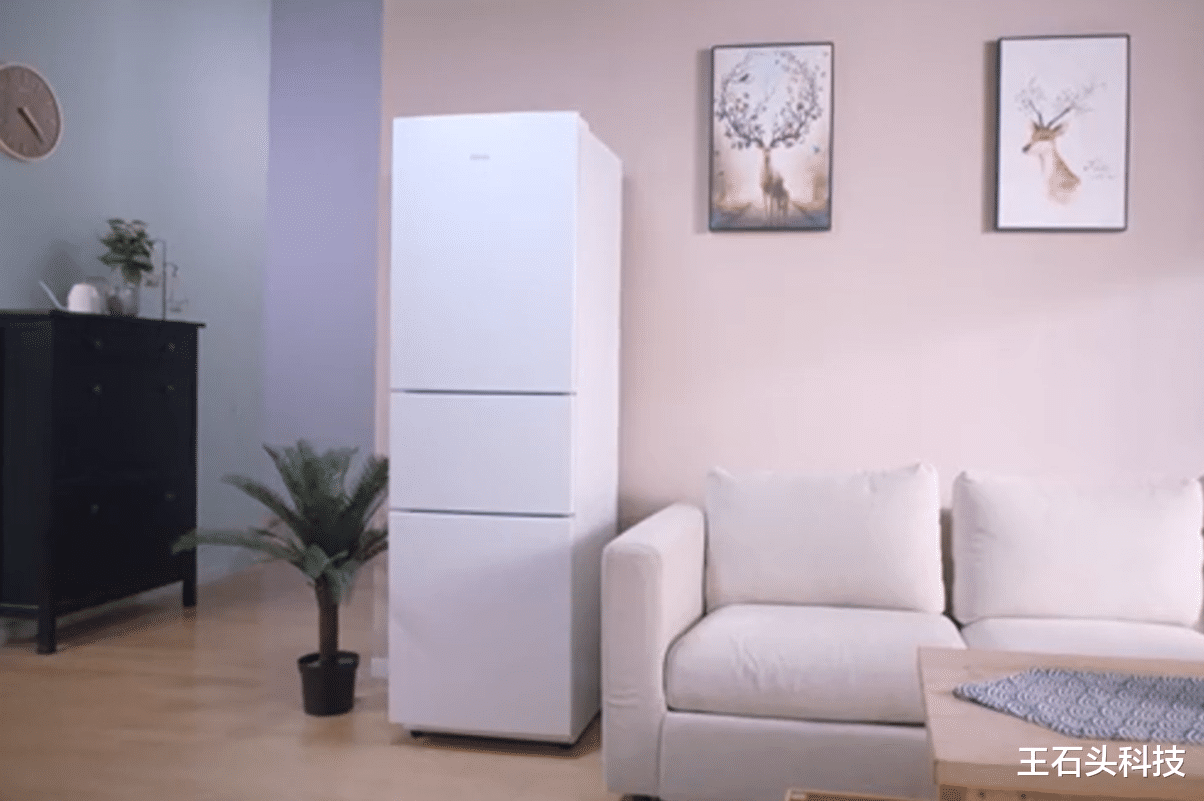 |买冰箱要记住,认准选购三大“要点”,告别气味、不会结霜!