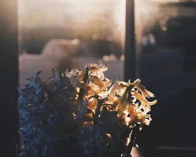 风雨人生路，坎坷荆棘行，甭管有