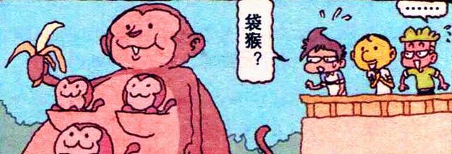 漫畫|老古“直播求偶”，殊不知美女近在咫尺，奮豆：你真是老眼昏花！