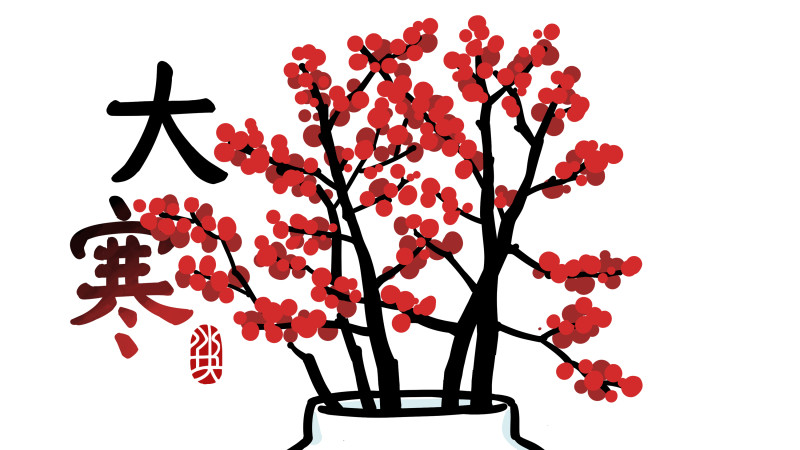 大寒|红火满枝味挺苦，大寒一过年味足~