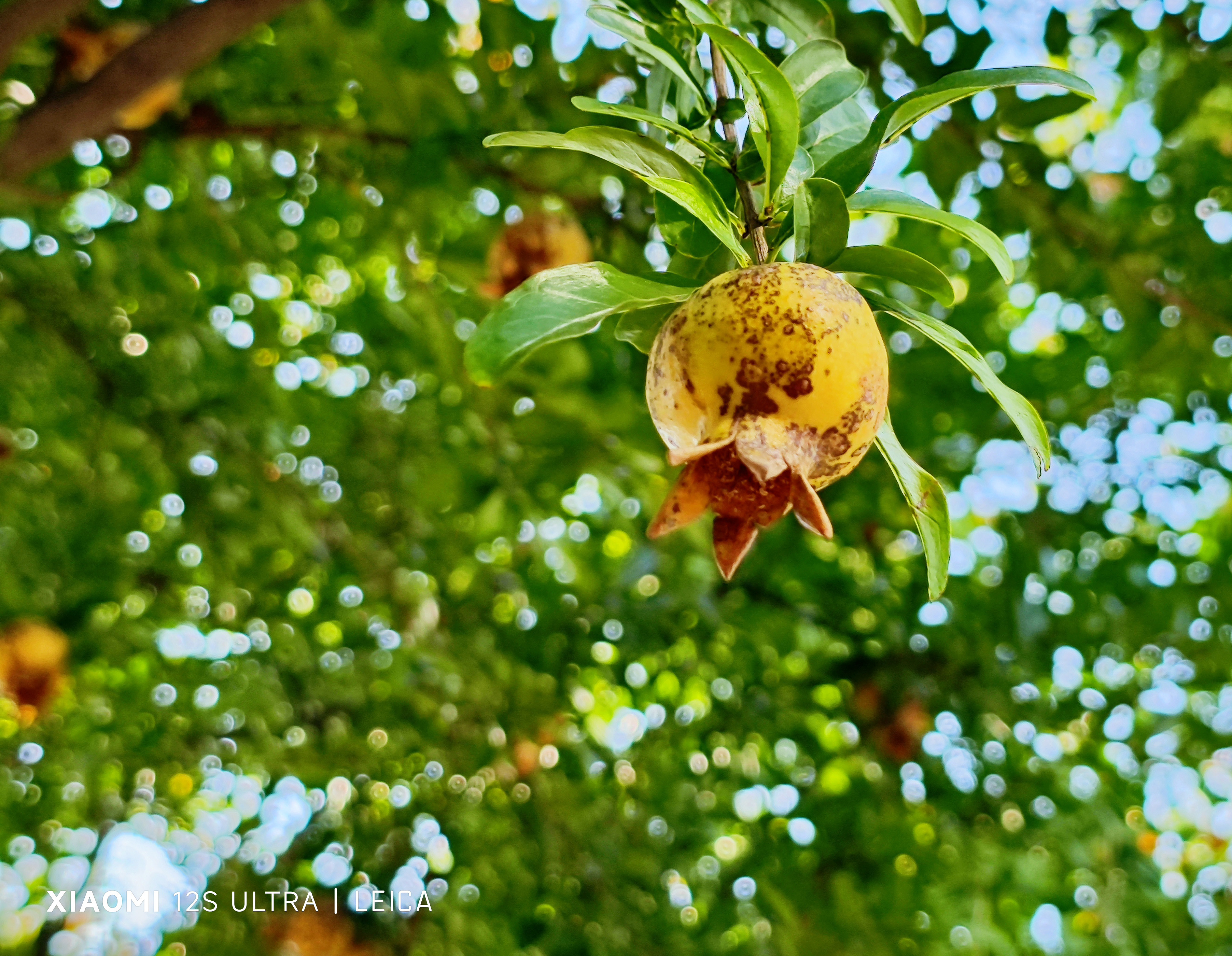 小米科技|从小米4到小米12ultra：1英寸底的摄像头拍不出304不锈钢的美！