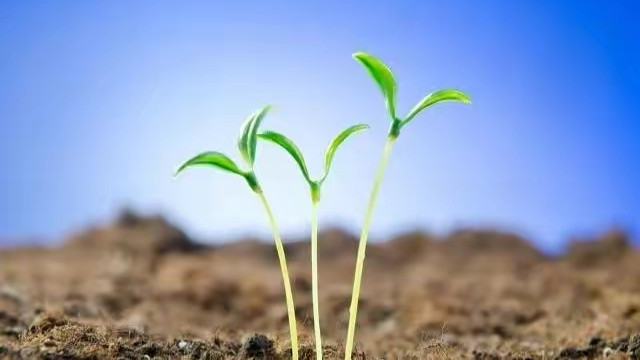 饵料|开春了，你们的鱼竿解封了吗？