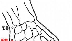 疾病|神奇的腕骨穴，天选的打工人必备穴位，腕关节疼痛治疗要穴