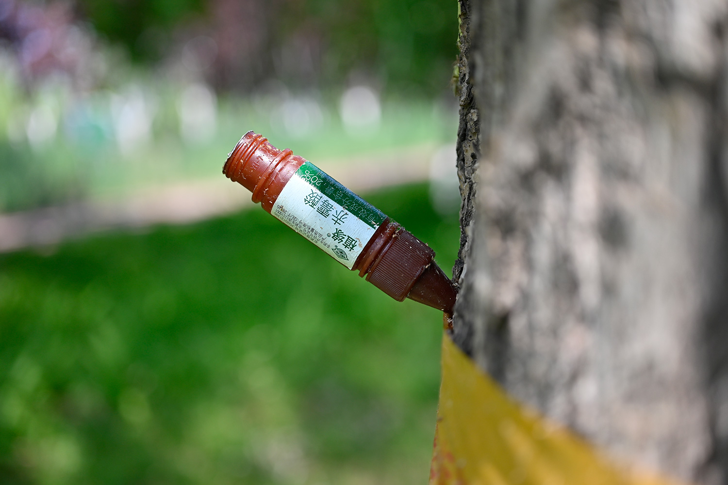 键盘|微距对垒，佳能RF口85微距，对阵尼康Z口50微距，谁表现更好？