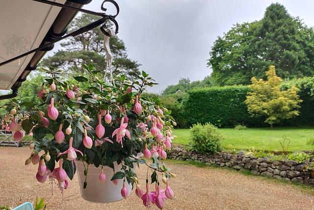 华为鸿蒙系统|iQOONeo6评测：很优秀的中端手机，但也有一个缺点