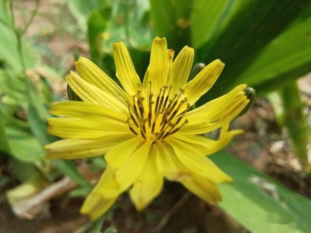 小米科技|支持5G双卡双待更流畅 TD Tech M40评测