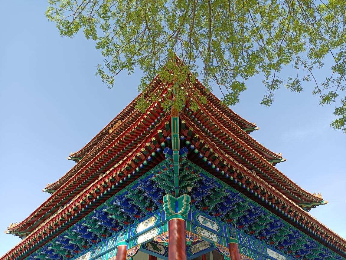 硬盘|红米Note 11最大竞争对手!荣耀Play 6T Pro解决千元机内存焦虑