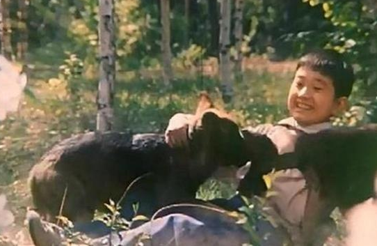 1993年，“功勋军犬”绑真炸药拍戏，被炸粉碎，导演却高呼：太好