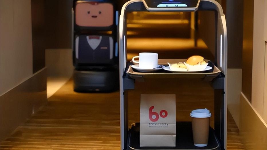 删除|颠覆传统出行后再赴机器人赛道，九号公司能否以“价格”破圈？