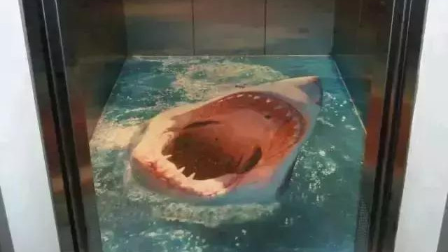 媳妇想在家里装这样的地板，虽有创意，但是会不会吓出心脏病来？