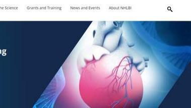 电子烟|英媒：一项具有里程碑意义的研究发现，电子烟和香烟一样对心脏有害