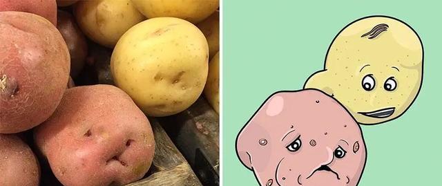 漫画|他把普通的事物变成漫画脸,一旦接受了这种设定,就回不去了