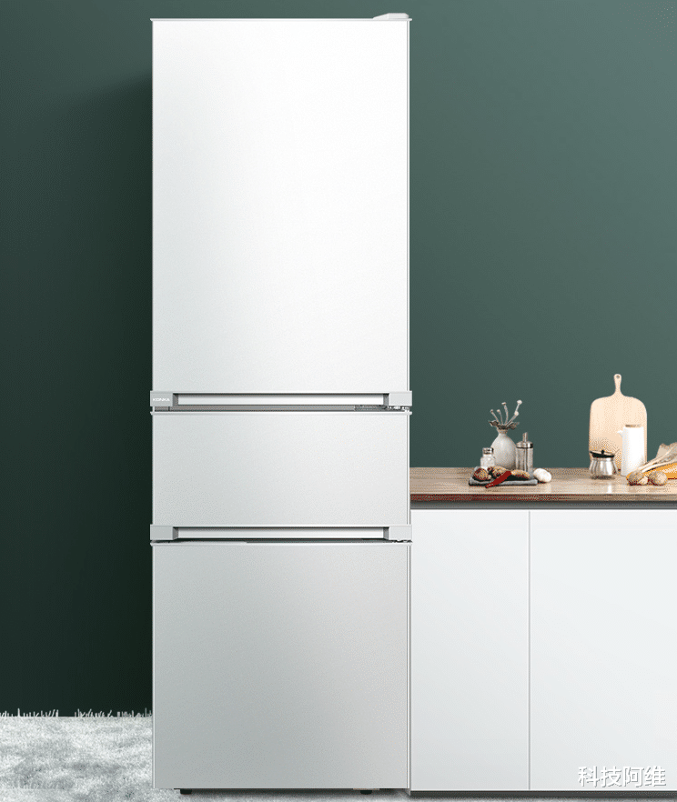 京东|千元冰箱热卖排行榜:创维仅排第四,康佳第三,第一名让人意外