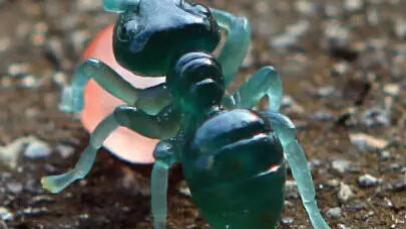 玉雕|玉赏 | 刀尖上的玉雕，叹为观止！