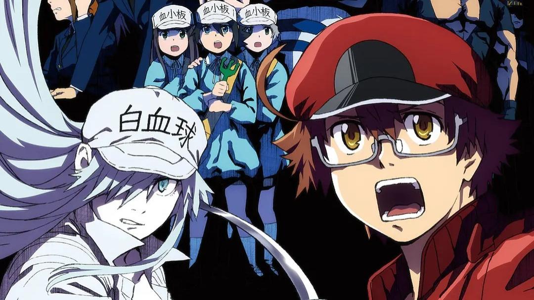 工作细胞black|科普动画《工作细胞BLACK》的主角为男性，主讲不注意身体的后果