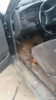 八神庵|“为什么八神庵腿上要绑绳子呢?”