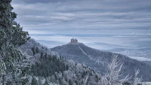 春招|人过五十，学会装傻，你就赢了