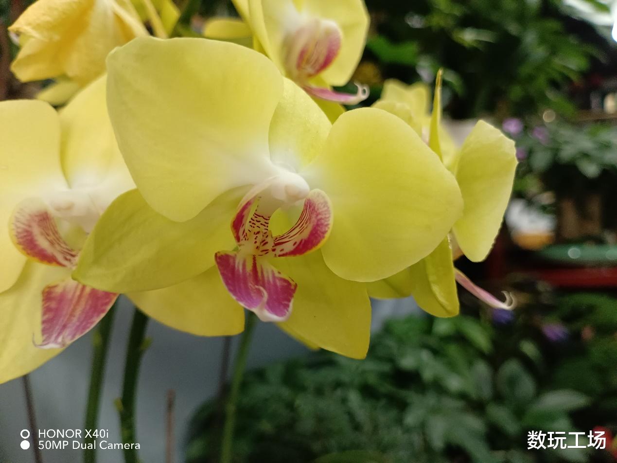 荣耀|售价1599元起 ，荣耀暑期发布的新X40i手机值得买吗？