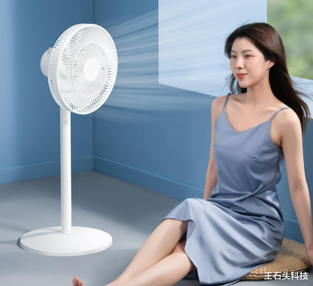 |中国家电“良心”企业，稳扎稳打29年，推出高品质风扇不足百元！