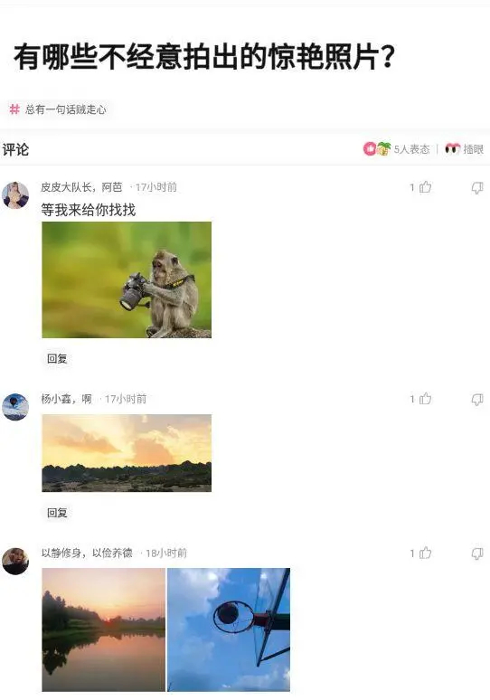 神回复|神回复:路上撞了一个大姐,我应该怎么办啊?神评方案绝了