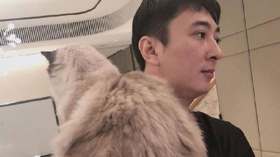 王思聪|“舔狗”王思聪得不到就毁掉，既然牵扯舅舅丑闻，内幕惊人