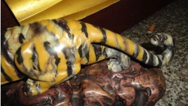 老虎|带“虎纹”就值钱？一块石头卖到一千万？