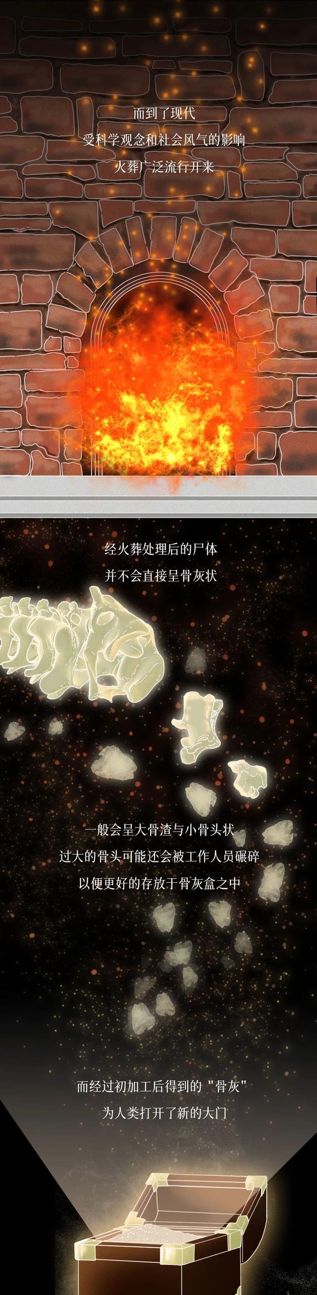 赤犬|人死后，该如何处理自己的尸体才最“牛”？一组漫画「科普」！