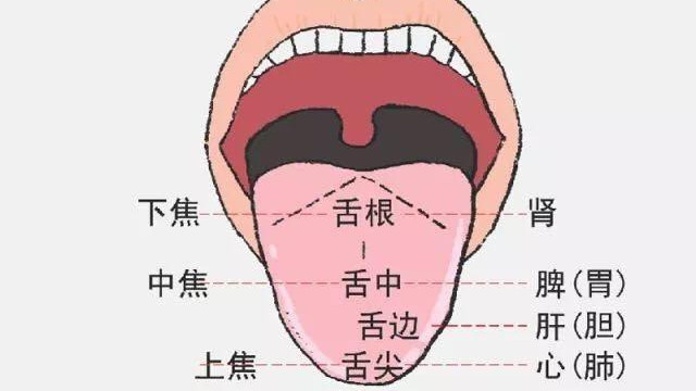 人均寿命|辨舌象，察病情，从四种舌象中找到“治癌”方法！