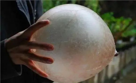 |小孩尿床真讨厌，告诉你个偏方治大病